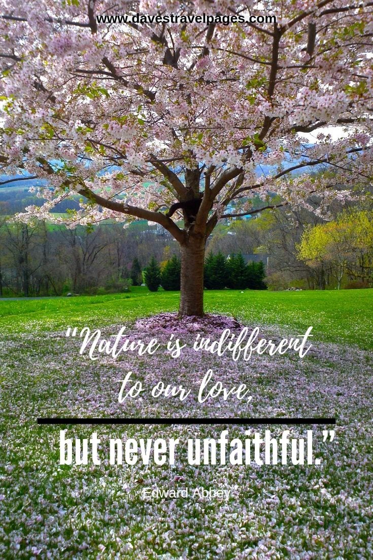 Best Nature Quotes - Inspirational sayings and quotes about nature