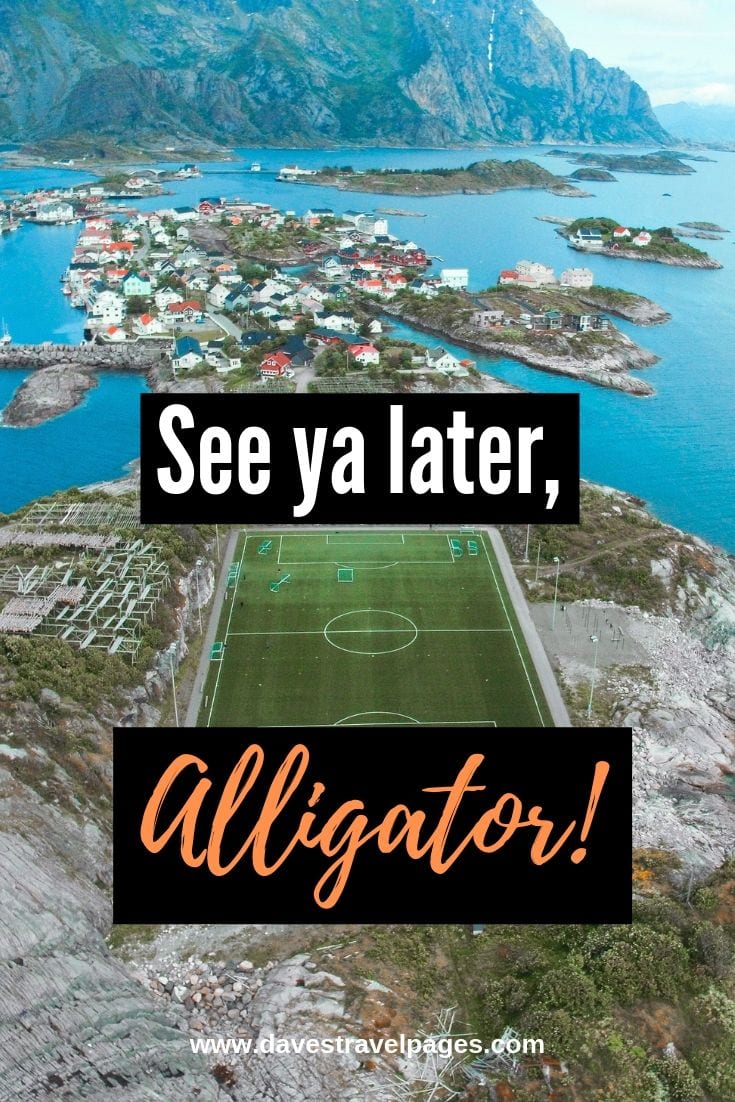 See ya later, Alligator!
