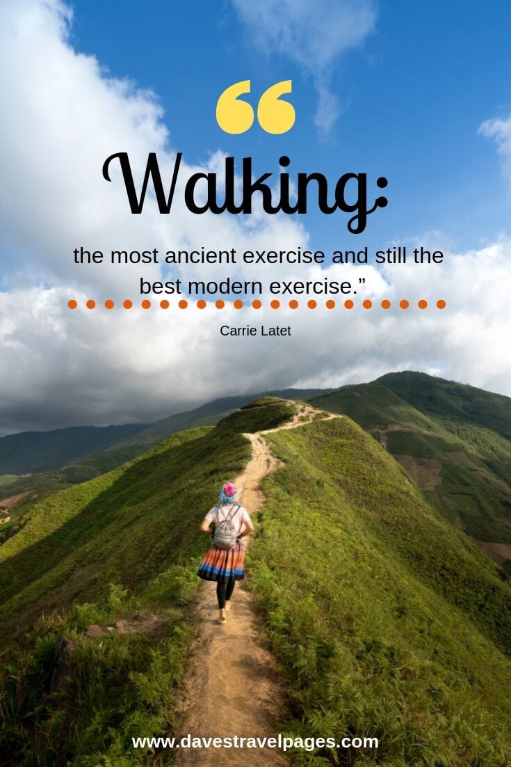 Walking: the most ancient exercise and still the best modern exercise. - Carrie Latet