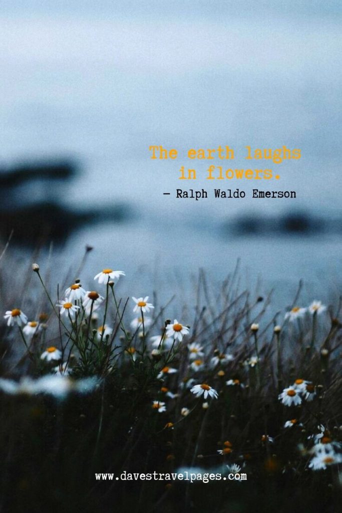 Nature Quotes Collection Quotes On Nature Beauty (2024)