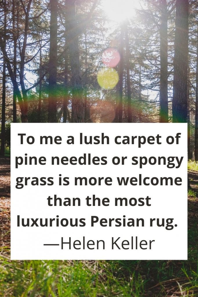 To me a lush carpet of pine needles or spongy grass is more welcome than the most luxurious Persian rug. —Helen Keller Nature Quotes at Dave's Travel Pages .com