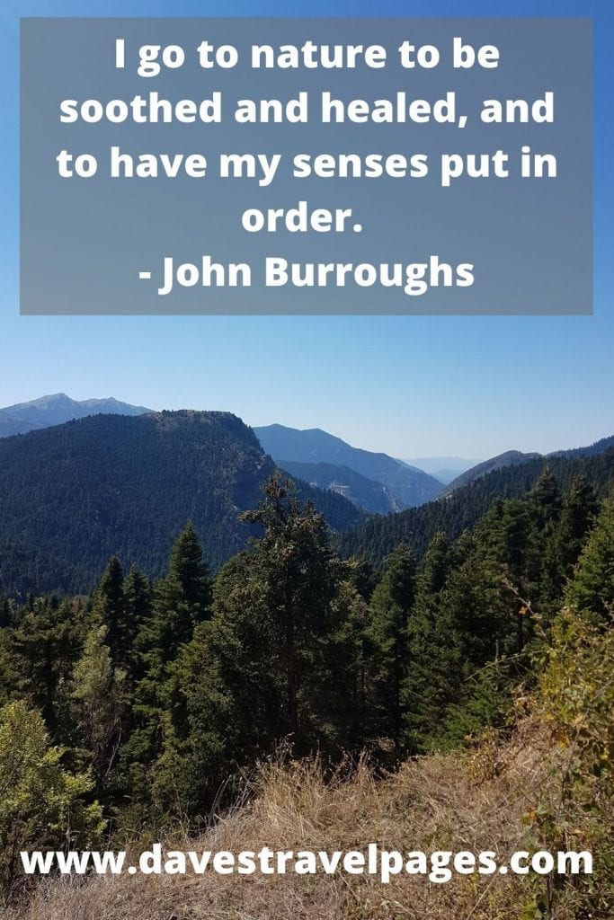 I go to nature to be soothed and healed, and to have my senses put in order. A quote about nature by John Burroughs