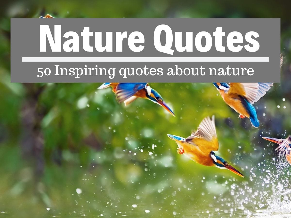 Wonderbaar Best Nature Quotes - Inspirational sayings and quotes about nature CD-63