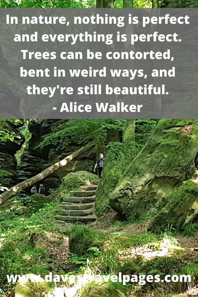 In nature, nothing is perfect and everything is perfect. Trees can be contorted, bent in weird ways, and they're still beautiful. Alice Walker Quotes about the nature