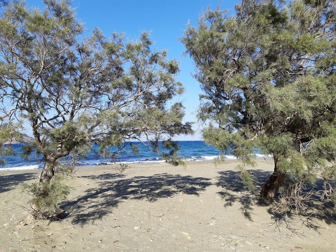 Panormos Beach in Tinos