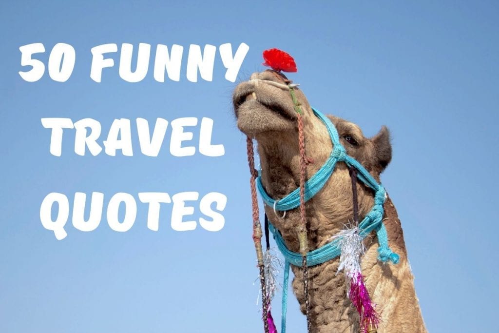 50 Funniest Travel Quotes