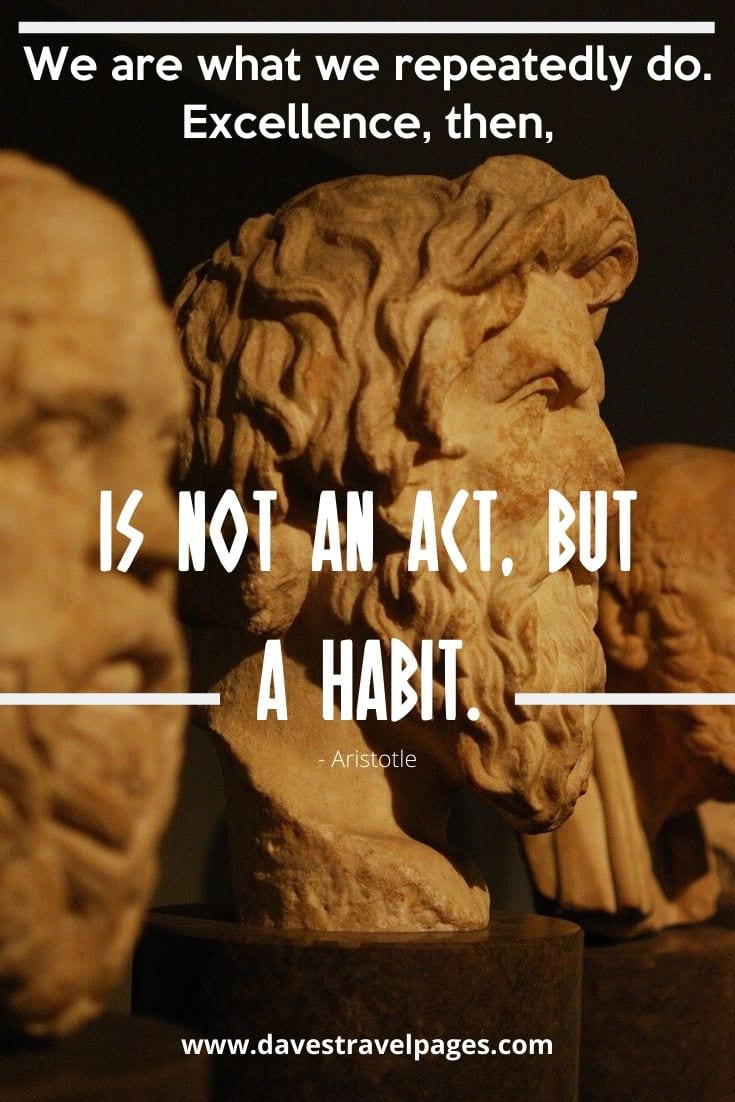 Motivational Quote: We are what we repeatedly do. Excellence, then, is not an act, but a habit. - Aristotle