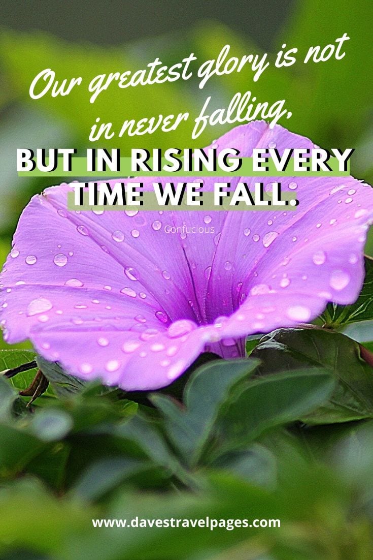 Our greatest glory is not in never falling, but in rising every time we fall. Confucious
