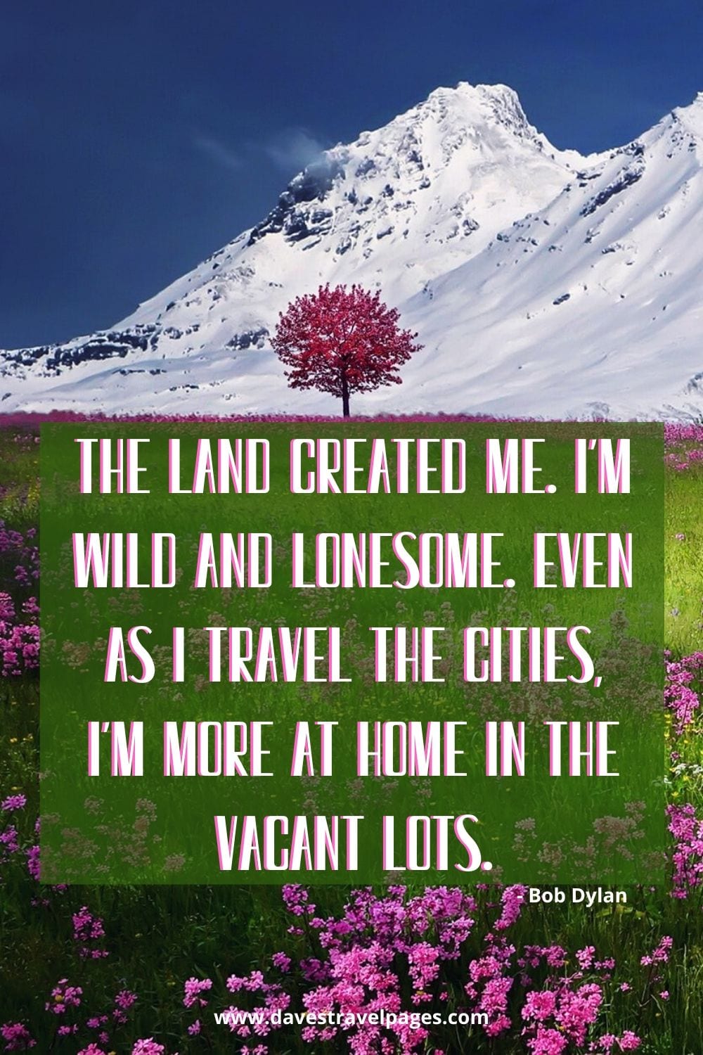 The land created me. I'm wild and lonesome. Even as I travel the cities, I'm more at home in the vacant lots. Bob Dylan