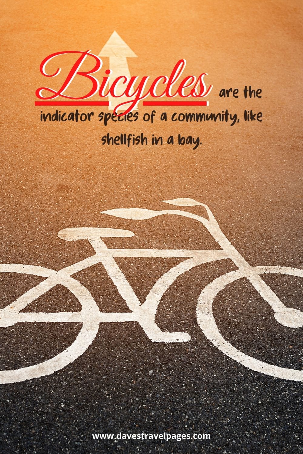 Bicycles are the indicator species of a community, like shellfish in a bay. ~ P. Martin Scott