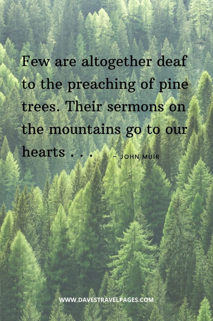 John Muir Quotes - 50 Inspiring Sayings and Quotes by John Muir