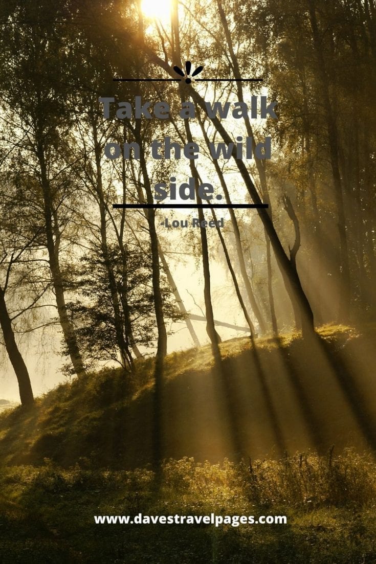 Walking Quotes: Inspirational Quotes on Walking and Hiking