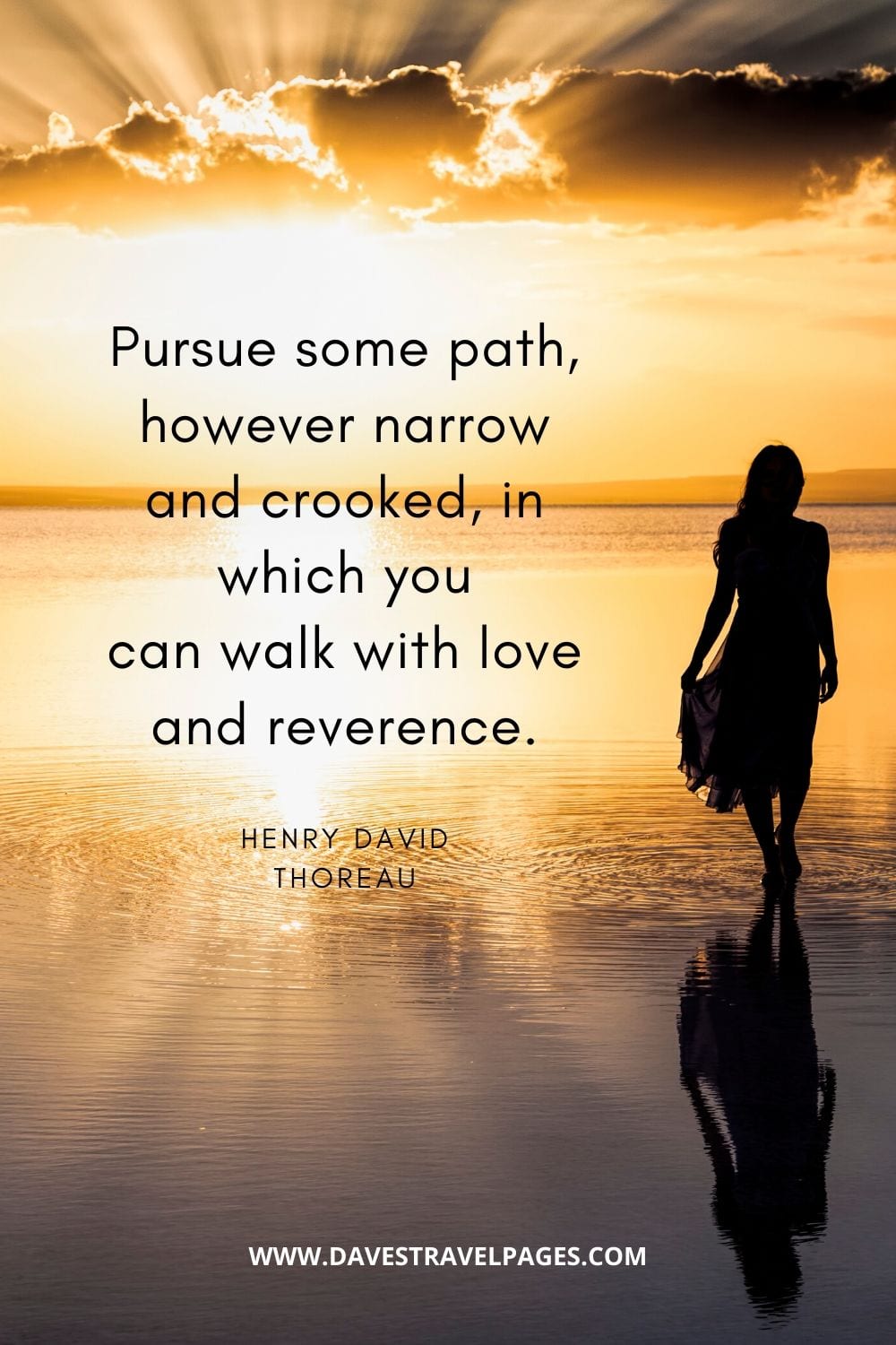 Pursue some path, however narrow and crooked, in which you can walk with love and reverence. - Henry david thoreau