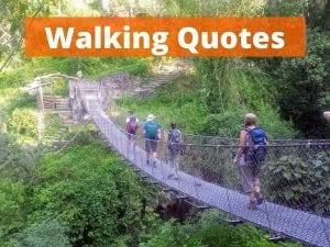 A collection of the 50 best walking quotes