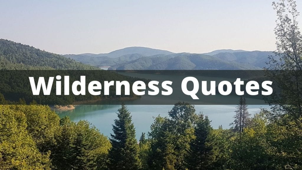 Famous Wilderness Quotes Collection