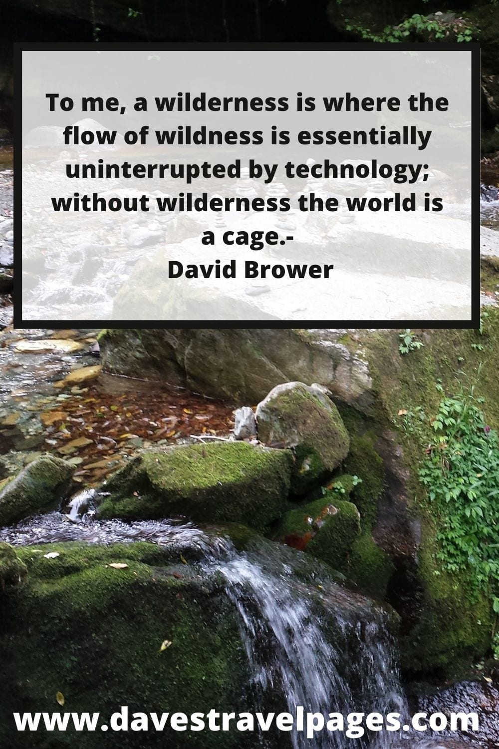 To me, a wilderness is where the flow of wildness is essentially uninterrupted by technology; without wilderness the world is a cage. - David Brower