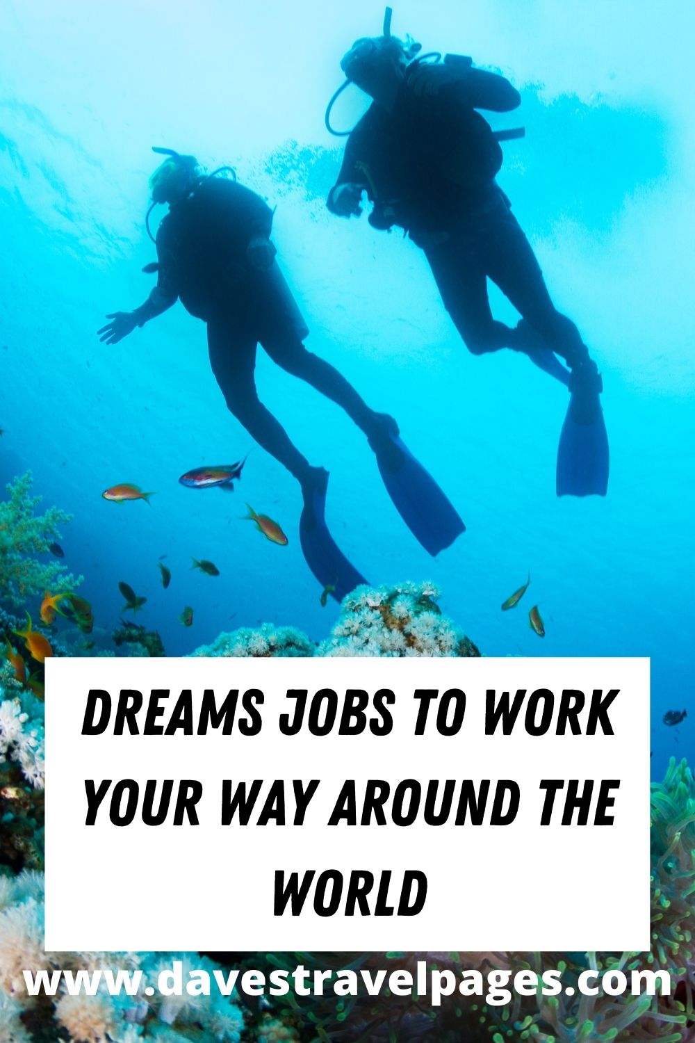 Dreams Jobs to work your way around the world