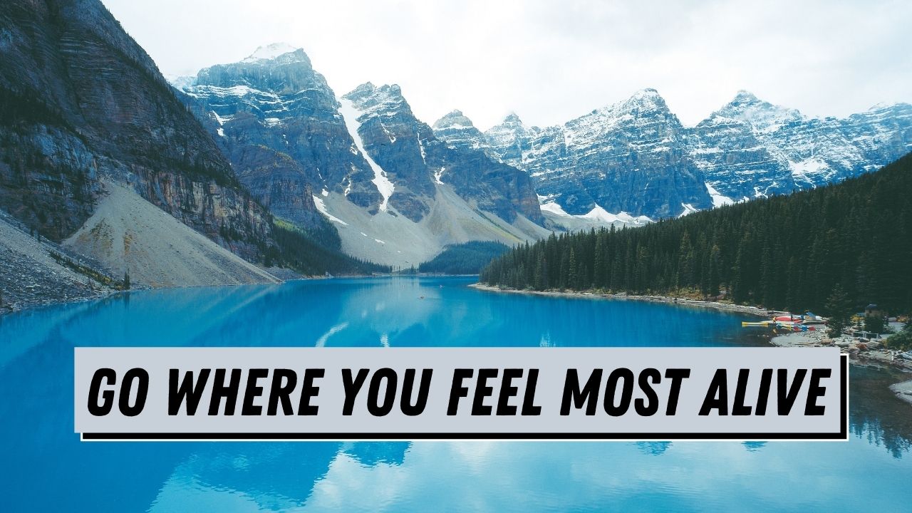 Go where you feel most alive