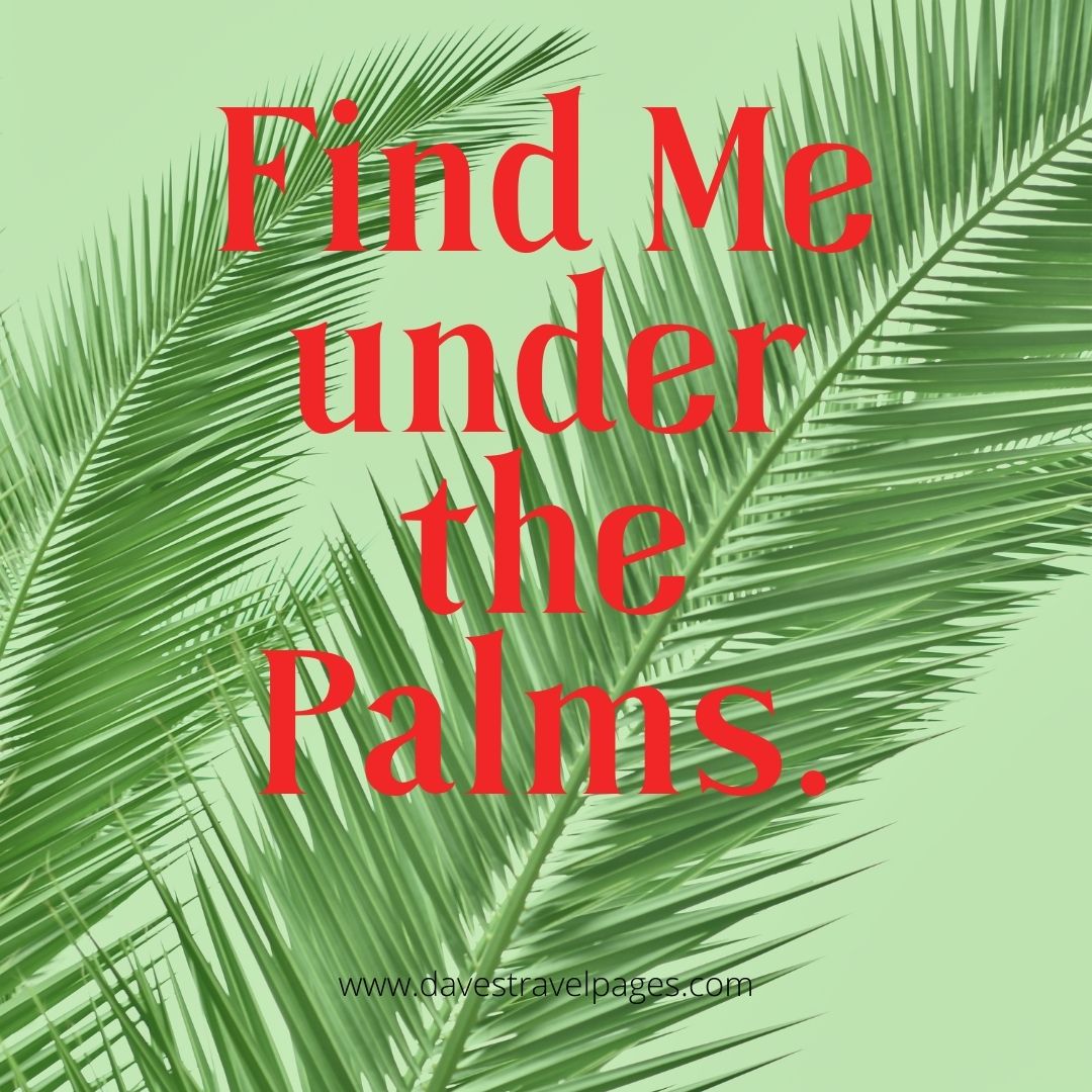 Find me under the palms Ocean Instagram Captions