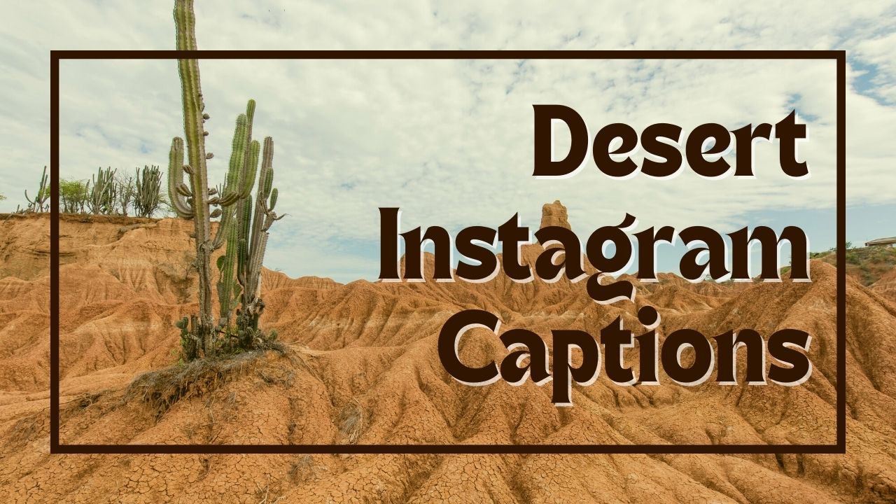 Best Instagram Captions For Desert Photos