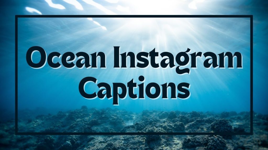 More Than 200 Fun Ocean Instagram Captions Seas The Day!
