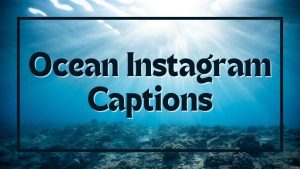 Best Instagram Captions For Ocean Pictures