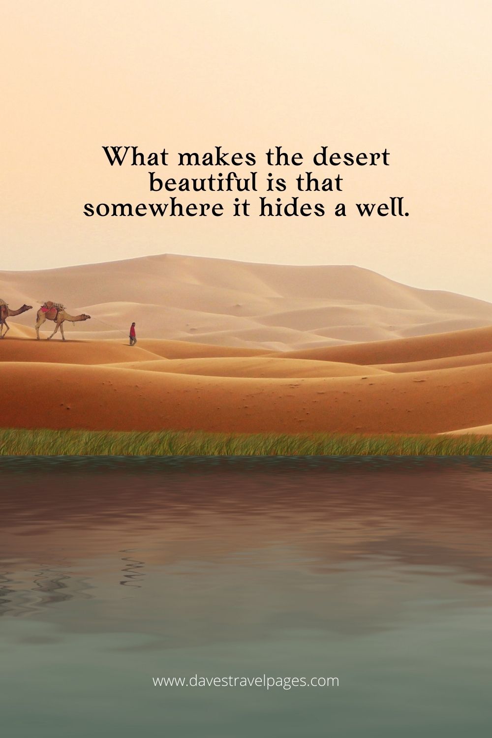 What makes the desert beautiful?
