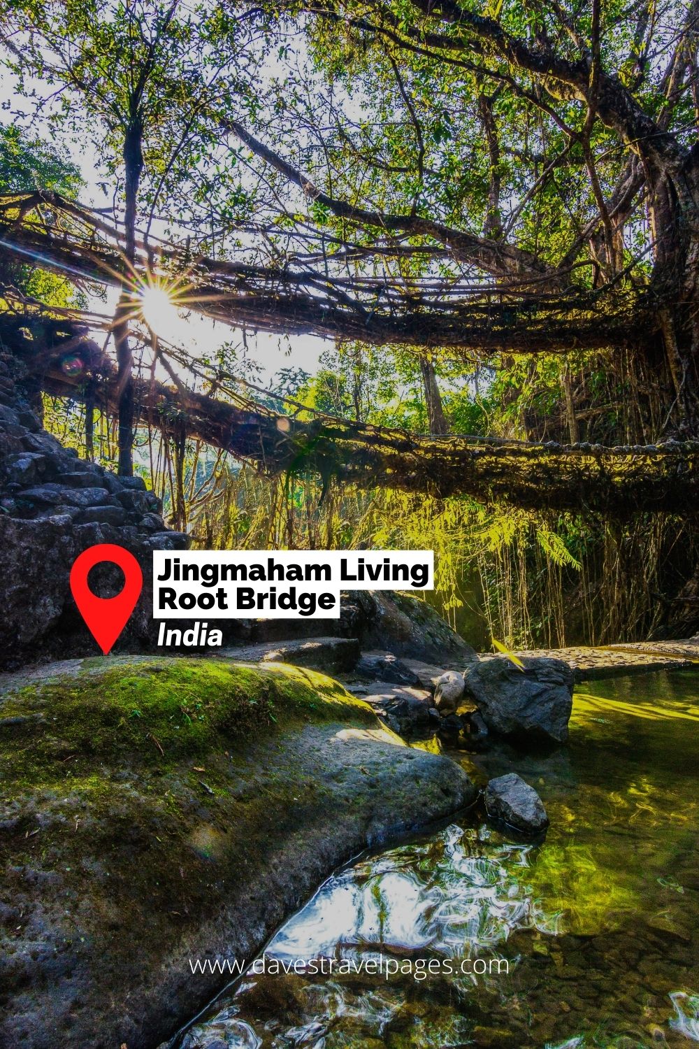 Jingmaham Living Root Bridge (India)
