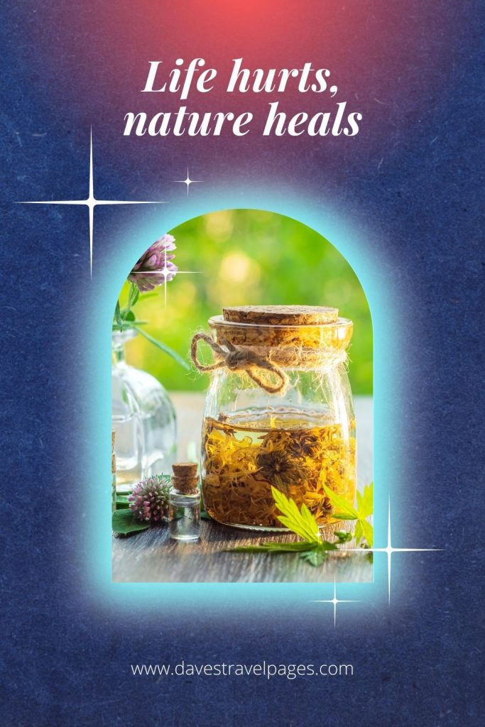 Life hurts, nature heals