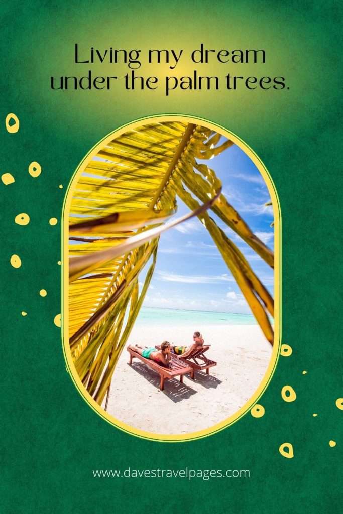 300 Best Tree Captions For Instagram (Includes Treelarious Puns!)