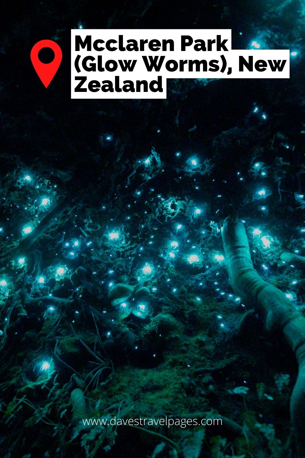 Mcclaren Park (Glow Worms), New Zealand