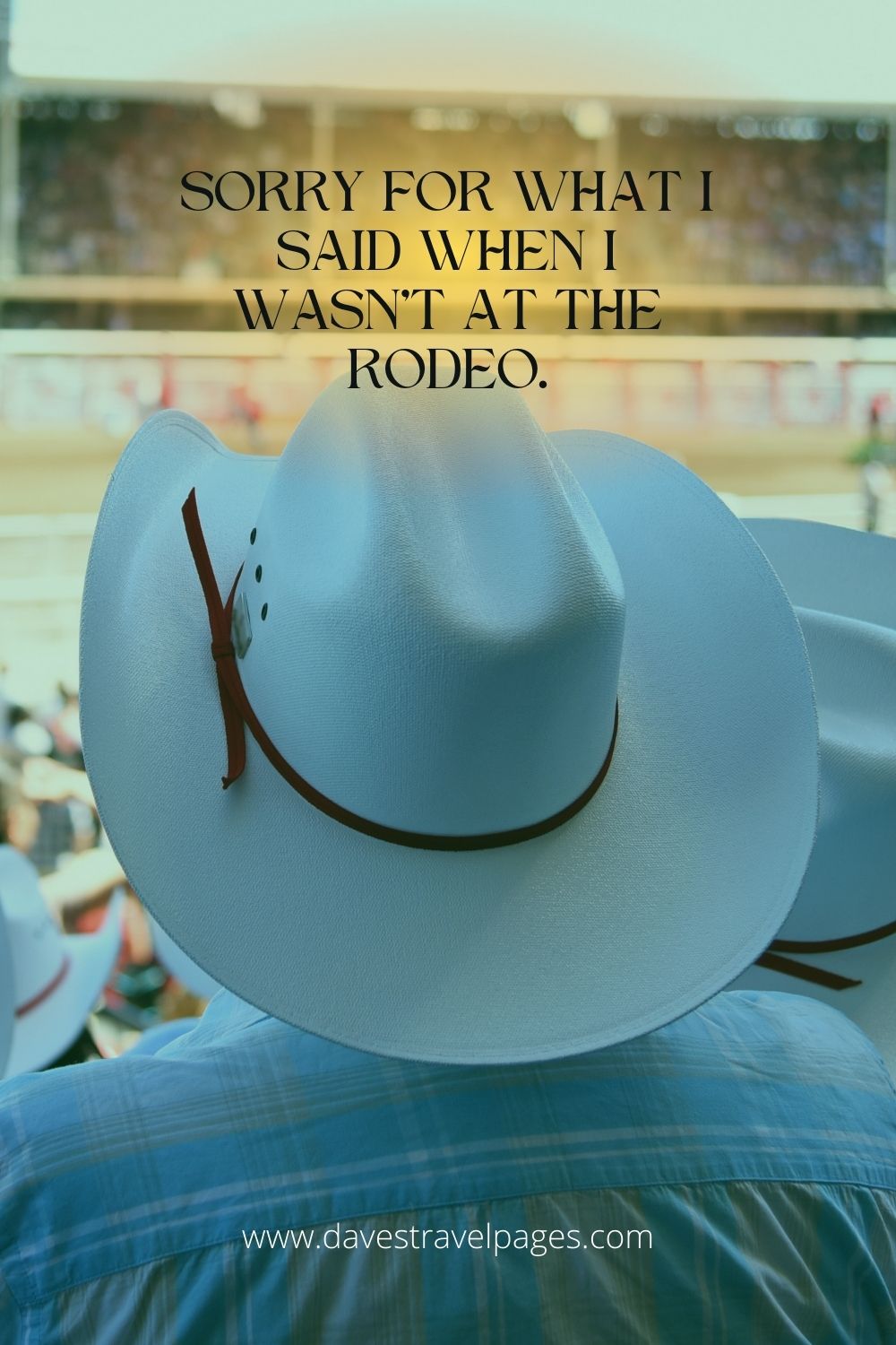 Sorry for what I said when I wasn't at the rodeo