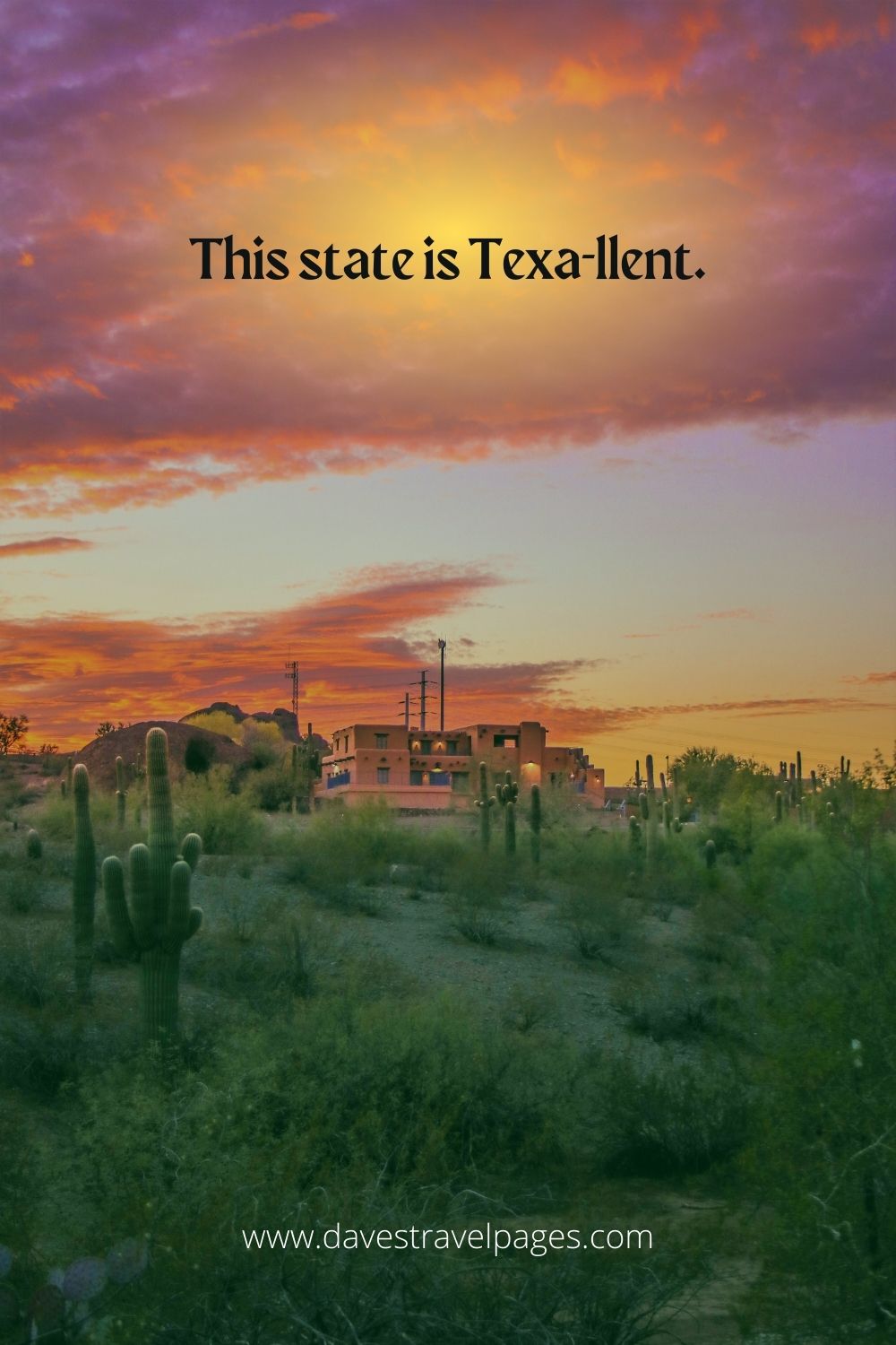 This state is Texa-llent