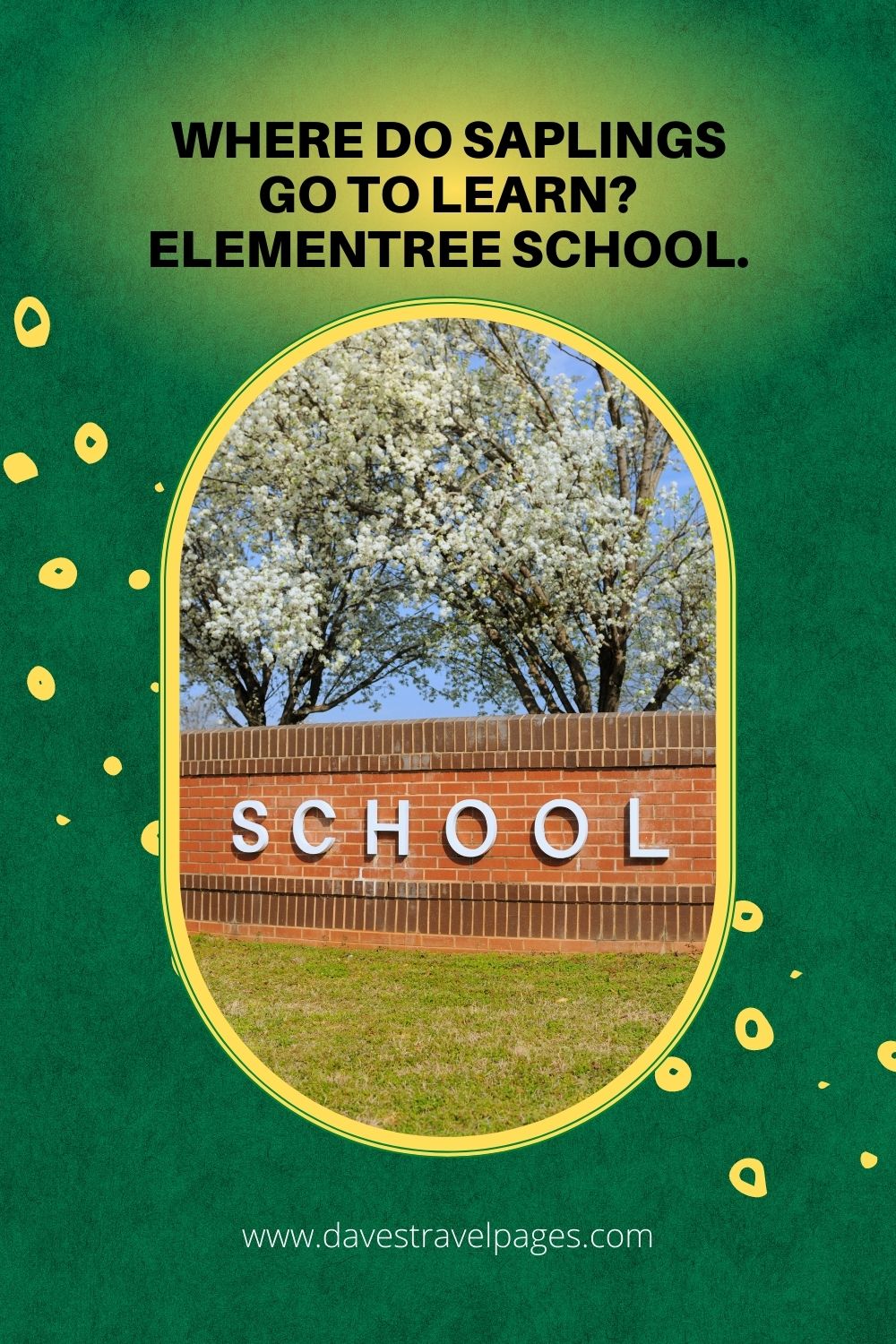 Where do saplings go to learn? Elementree school.