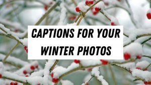 Captions About Winter