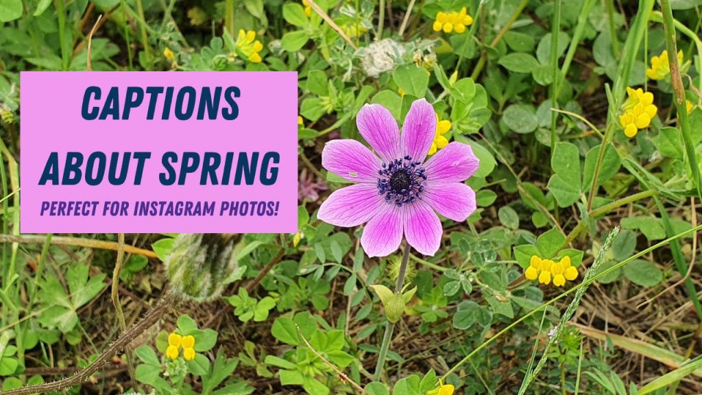 Captions About Spring For Instagram