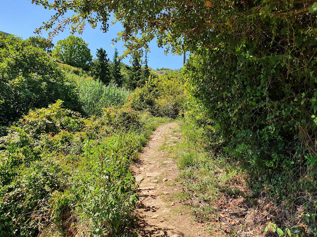 Hiking path to Alonissos Hora