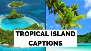Tropical Island Captions To Use With Instagram