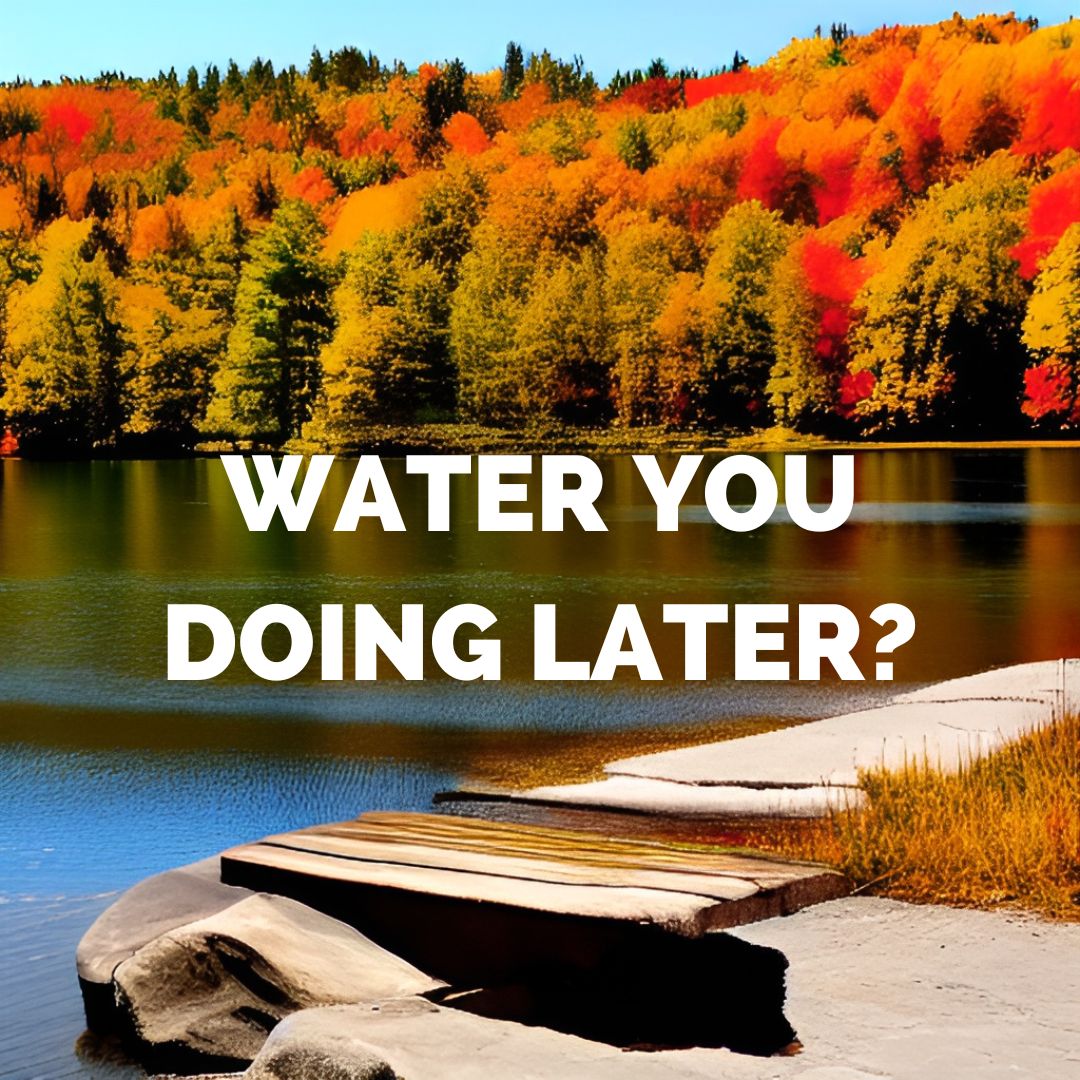 Water you doing later? Lake puns and captions