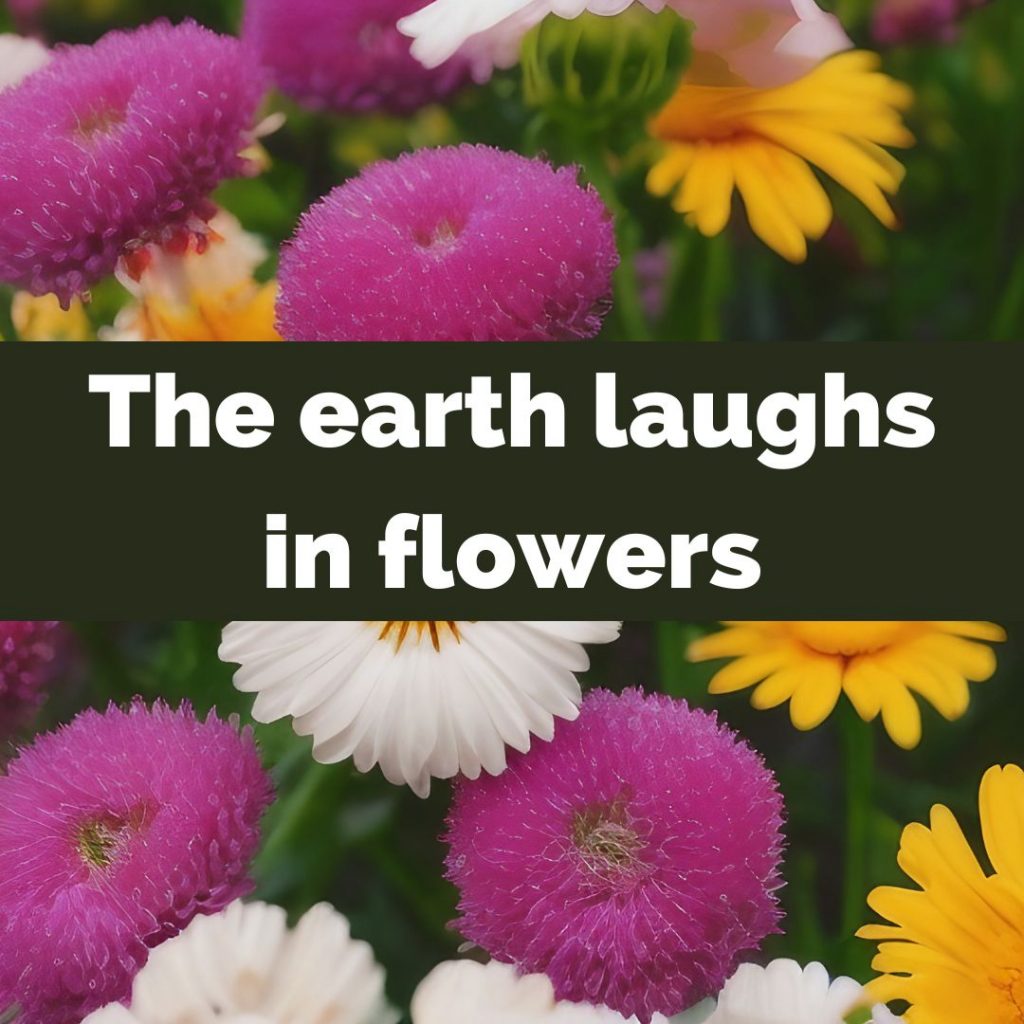 100+ Flower Captions For Instagram They're Blooming Good!