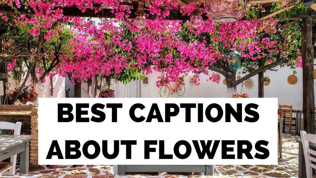100+ Flower Captions For Instagram They're Blooming Good!