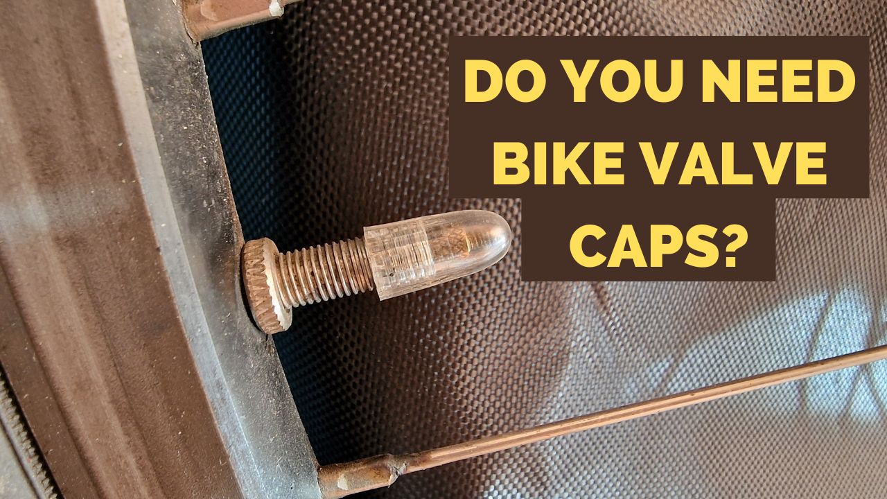 Do you need bike valve dust caps?