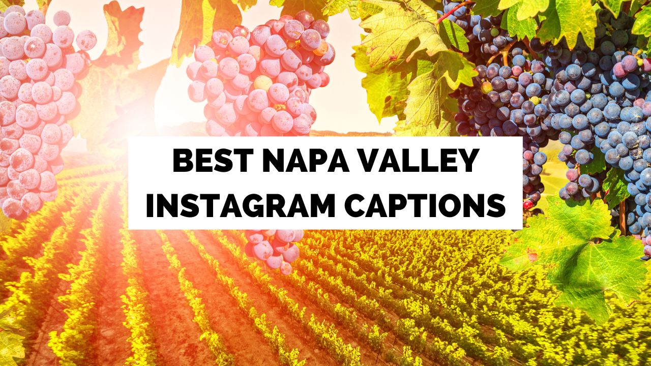 Best Napa Valley Instagram Captions And Puns