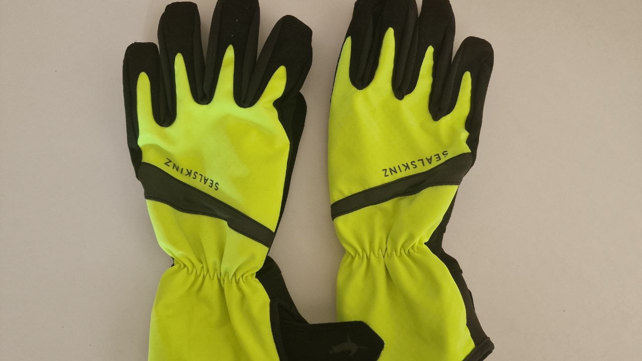 sealskinz waterproof gloves