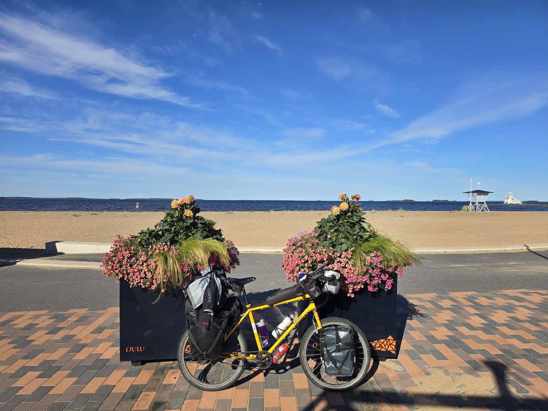 אופני תיור Thorn Nomad Mk2 (שלדת פלדה, רכזת רוהלוף)