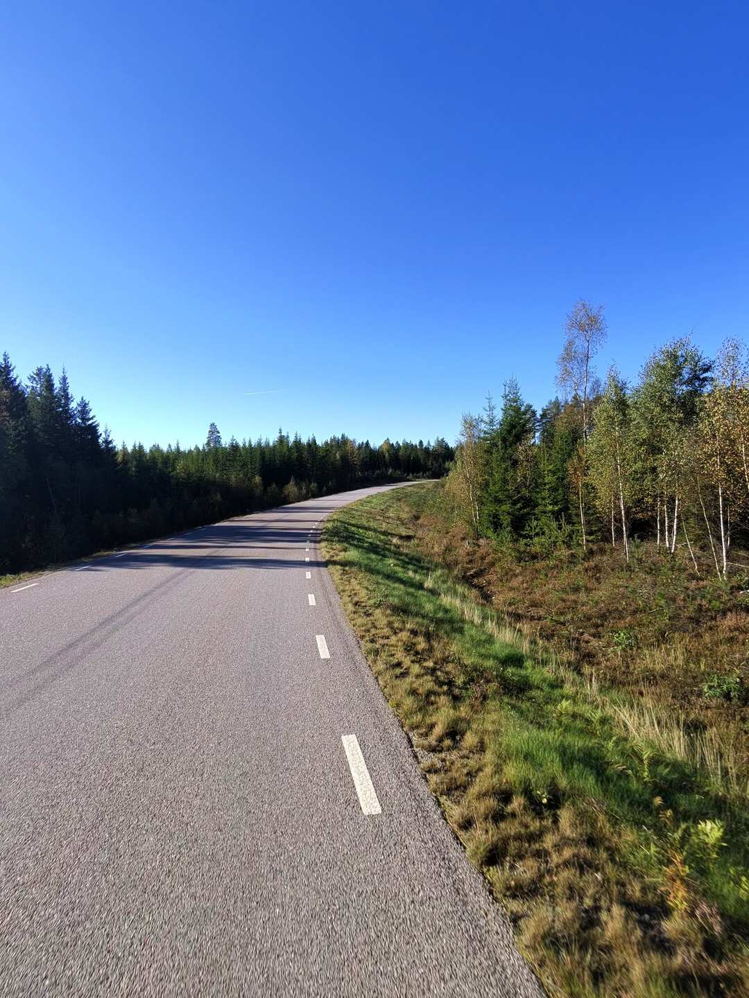 A quiet road with white markings stretching through pine and birch forest under clear blue sky in Sweden